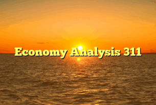 Economy Analysis 311